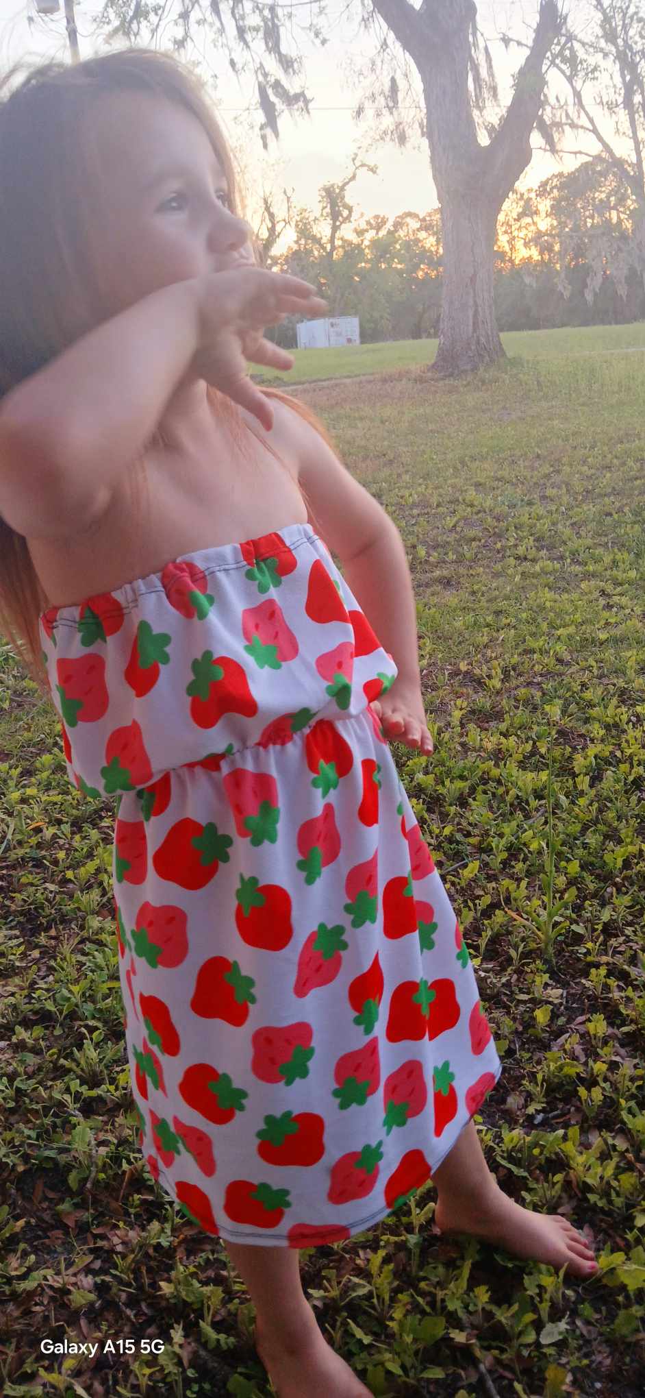 Strawberries Handmade