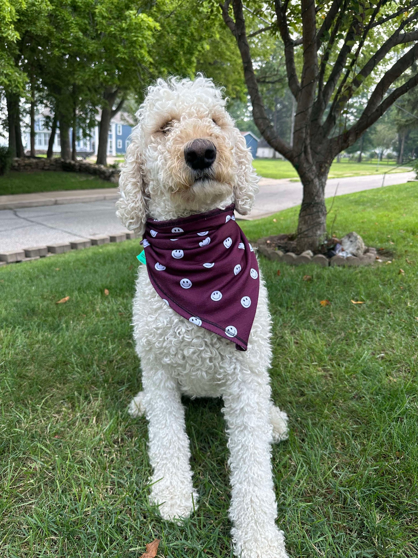 Burgundy Smiley Handmade