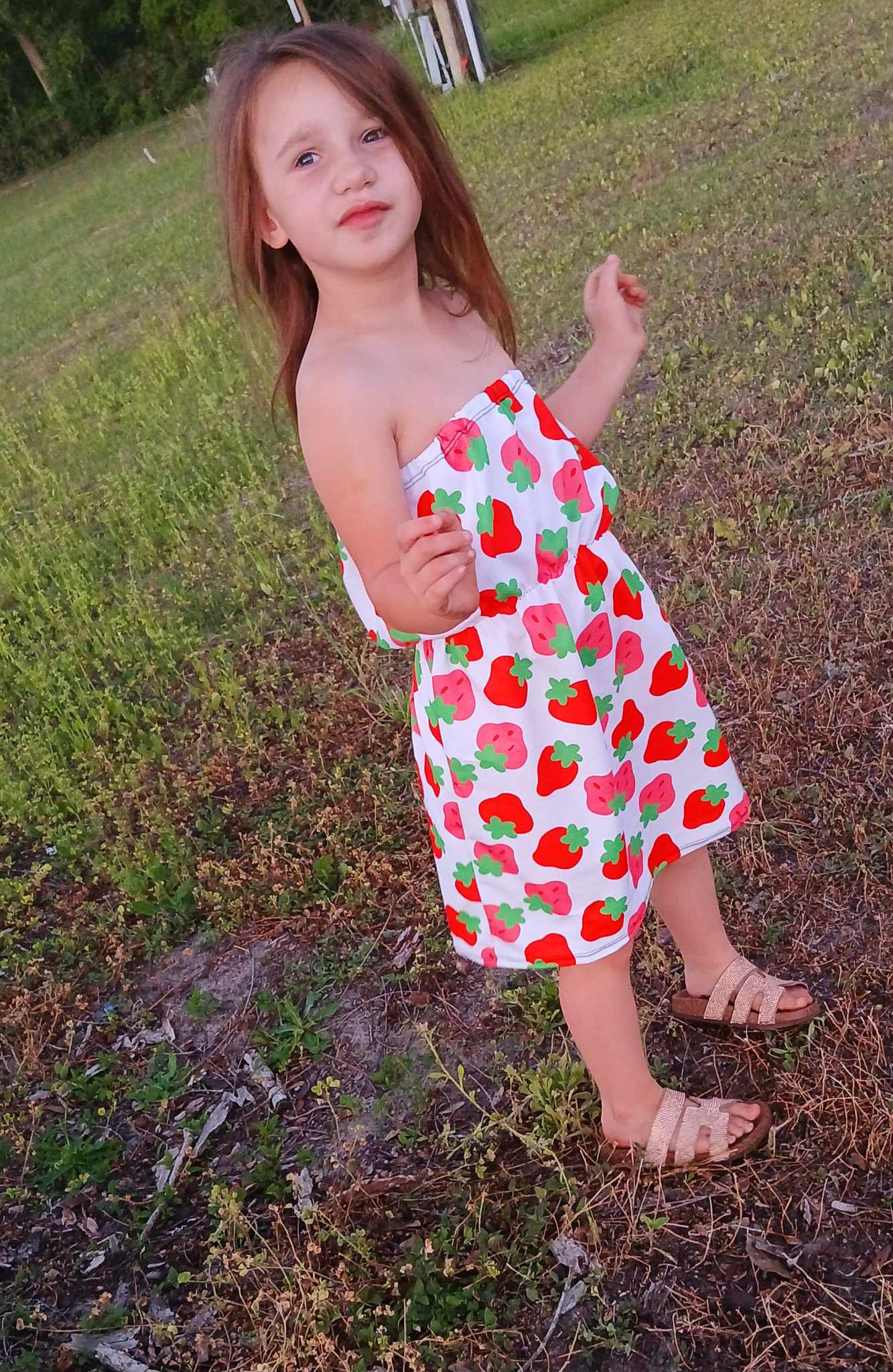 Strawberries Handmade