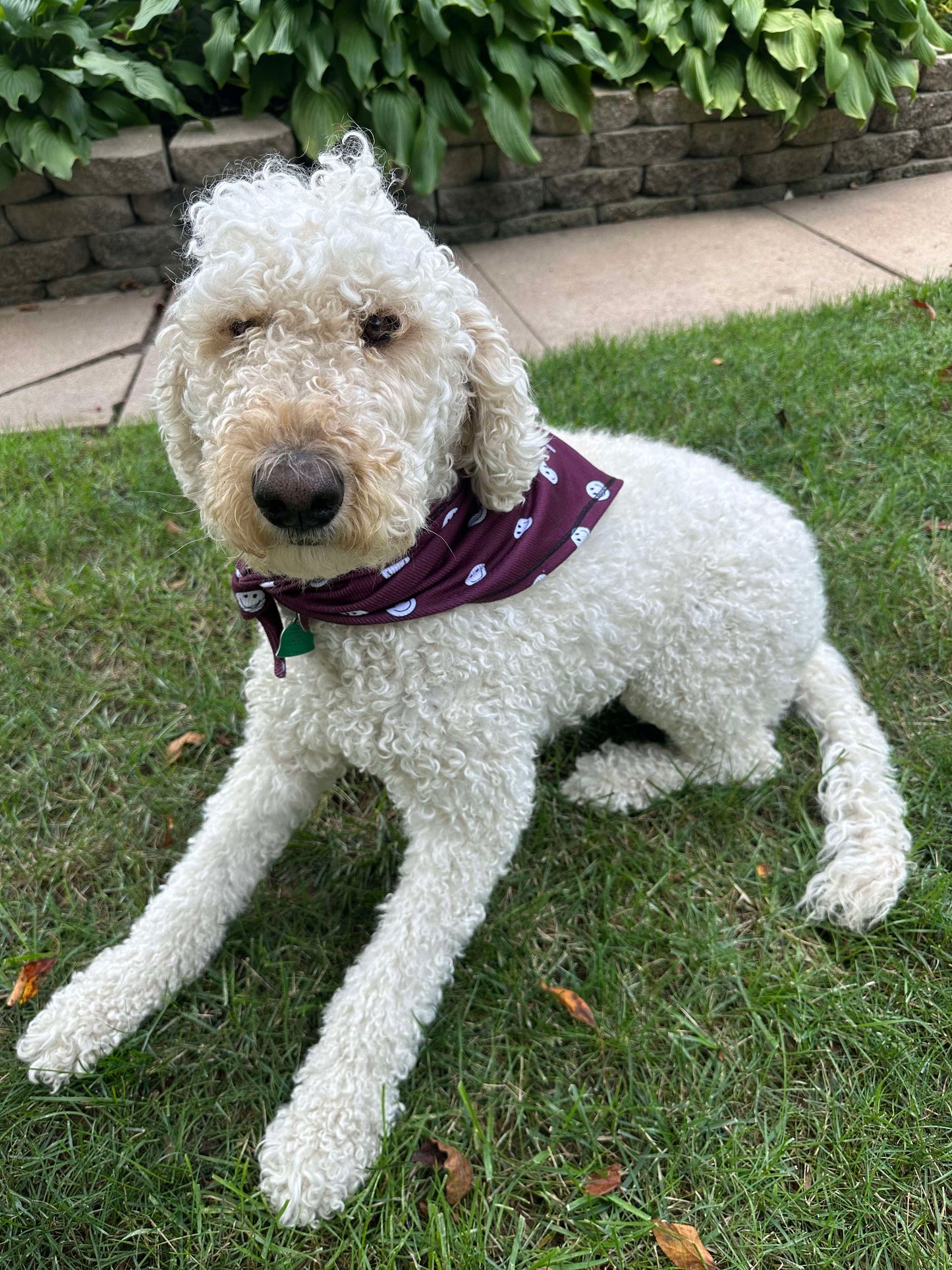 Burgundy Smiley Handmade