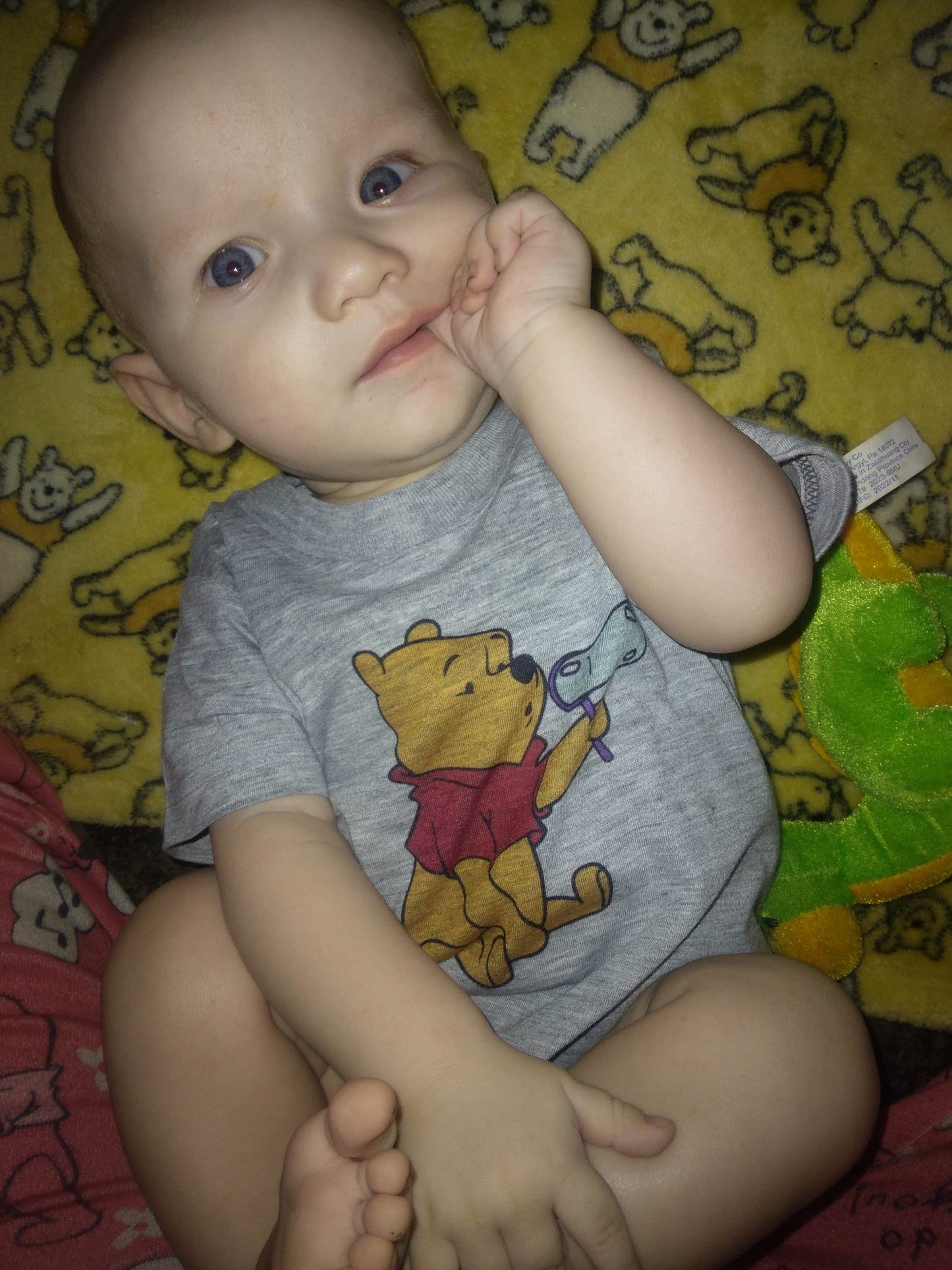 Winnie the Pooh Girls Shirt Boys Shirt