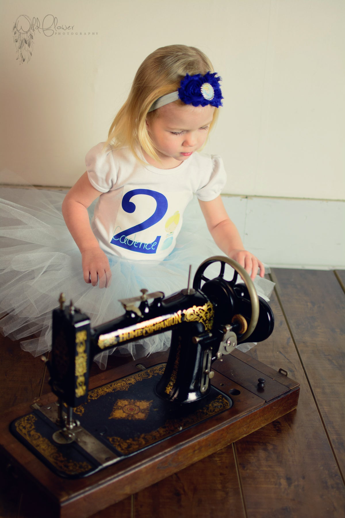 Cinderella Birthday Tutu Outfit Personalized