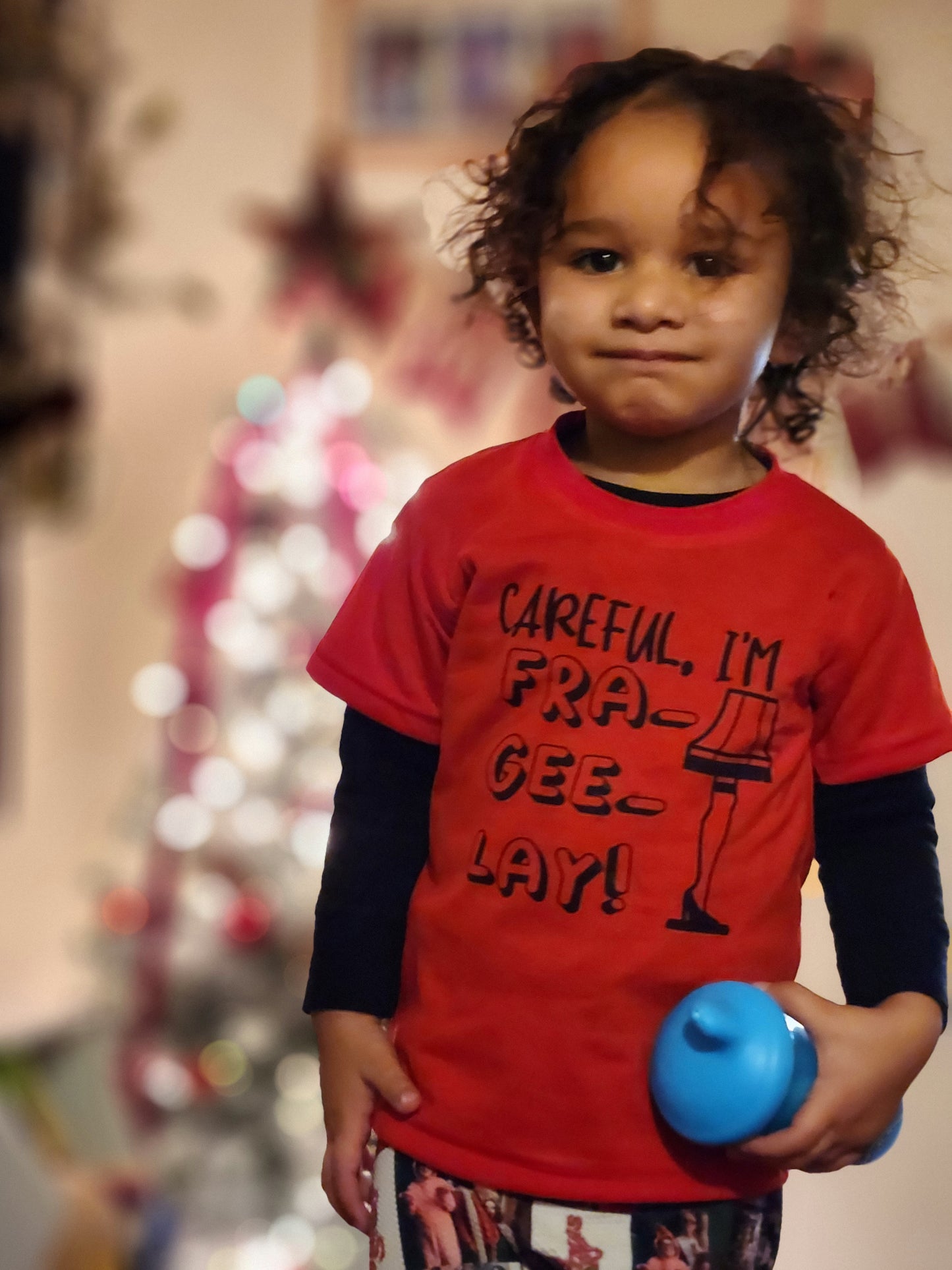 Careful, I'm Frageelay Girls Shirt Ladies Shirt Boys Shirt Mens Shirt Christmas