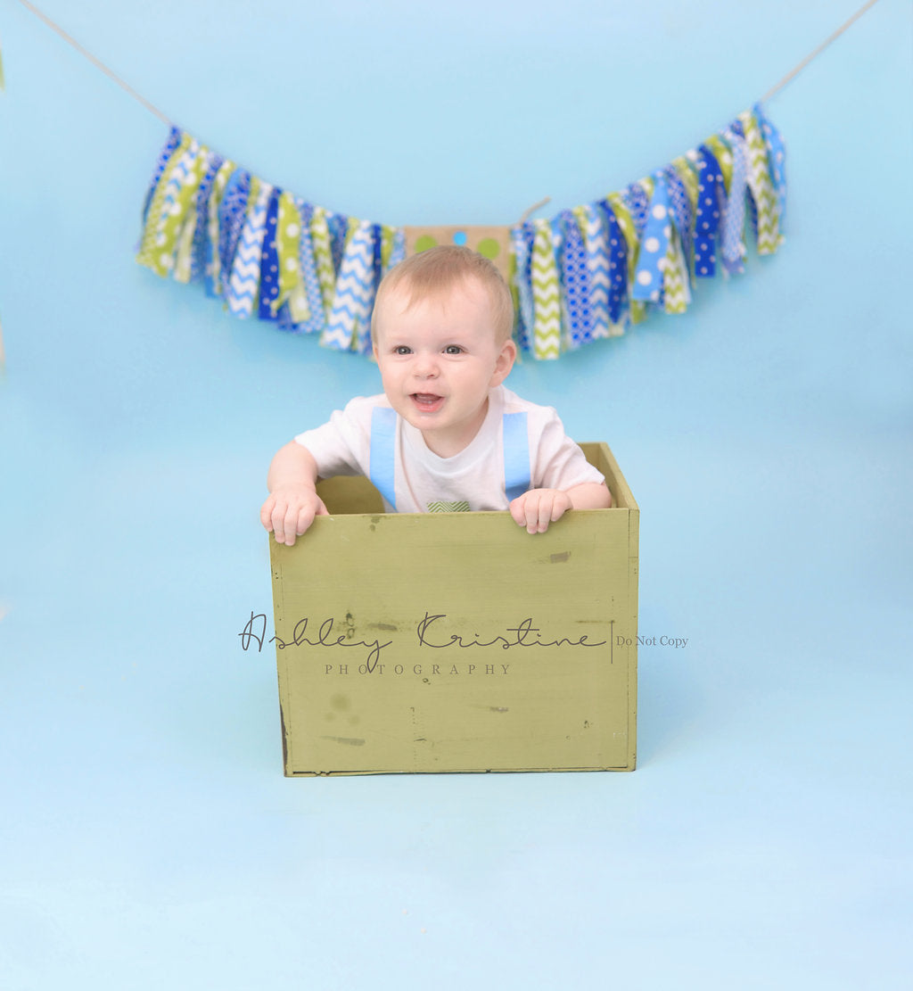 Personalized One Boys Shirt Birthday