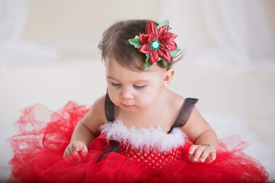 Ms. Claus Christmas Tutu Dress