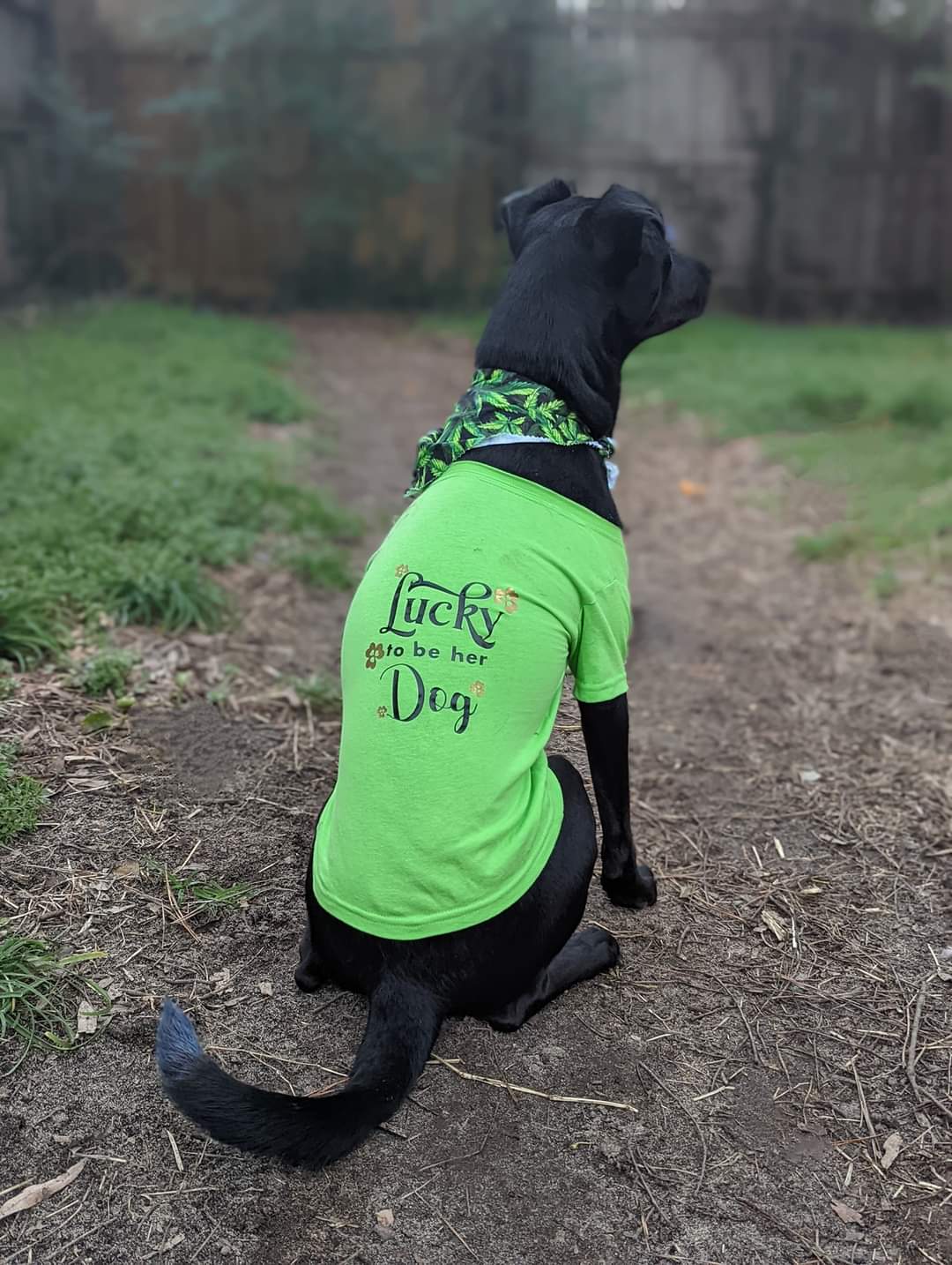 Lucky To Have This Dog & Lucky To Be Her Dog St. Patrick's Boy Shirt Girls Shirt