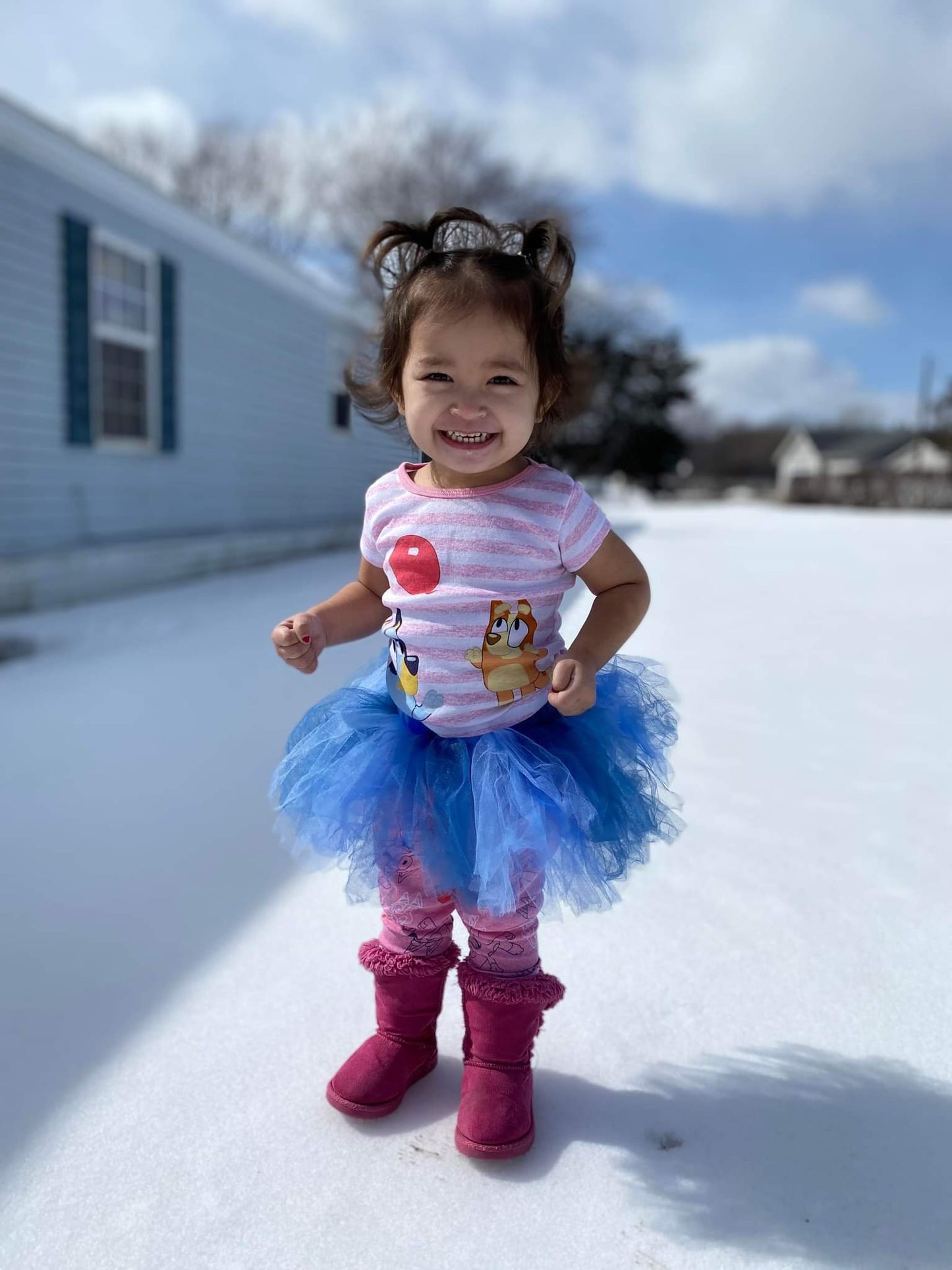 Bluey Tutu