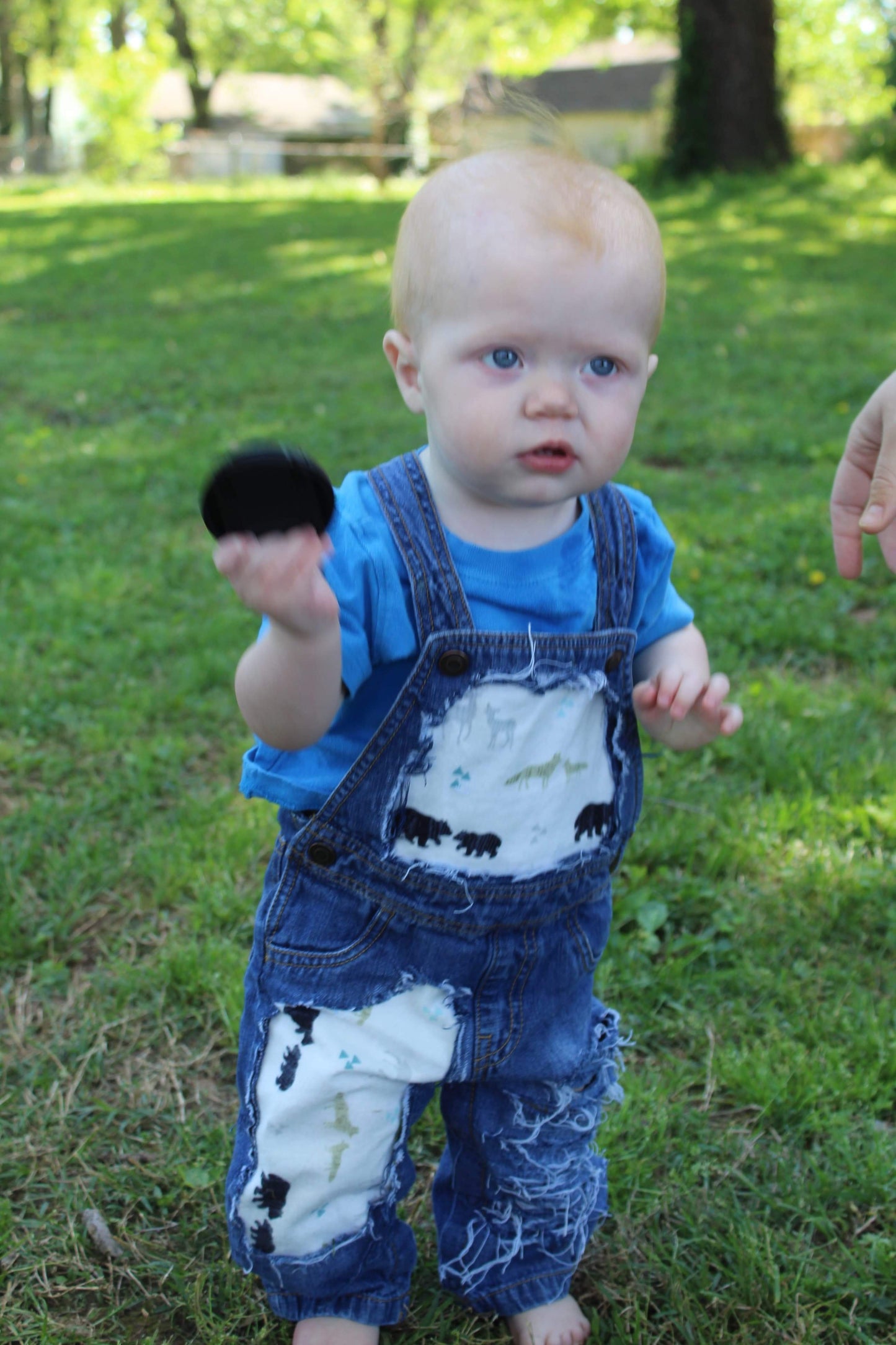Boys Bears, Foxs Oh My! Distressed Overalls Shortalls Jumper