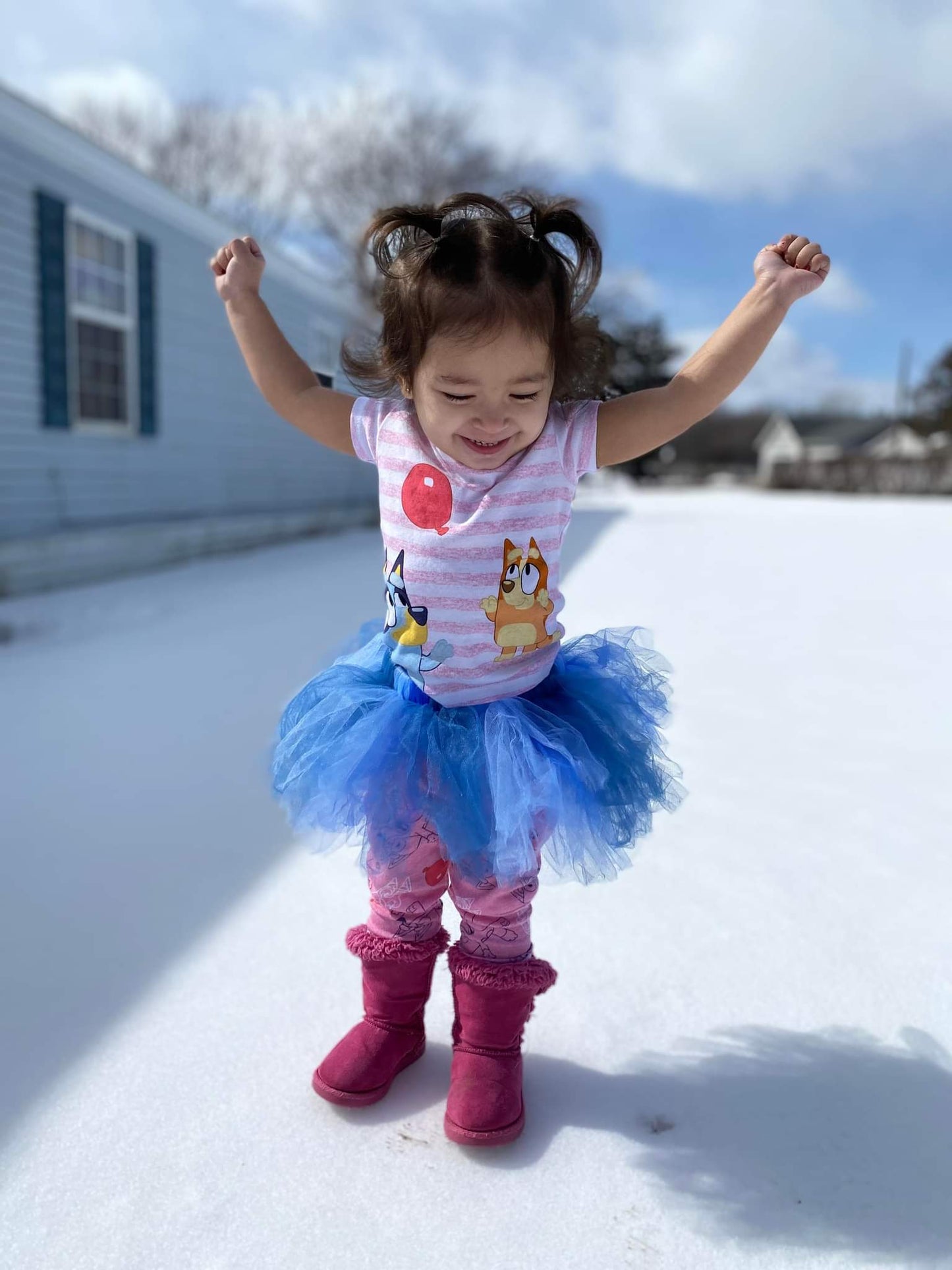 Bluey Tutu
