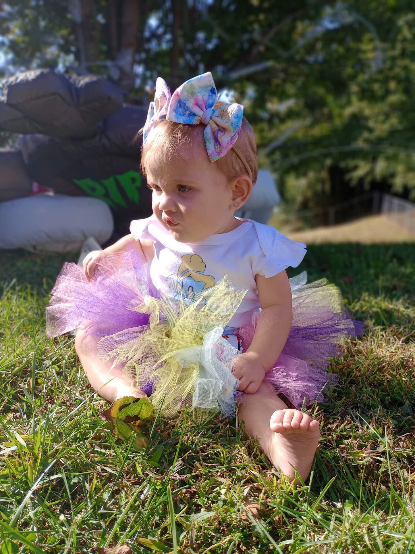 Disney Princesses Tutu