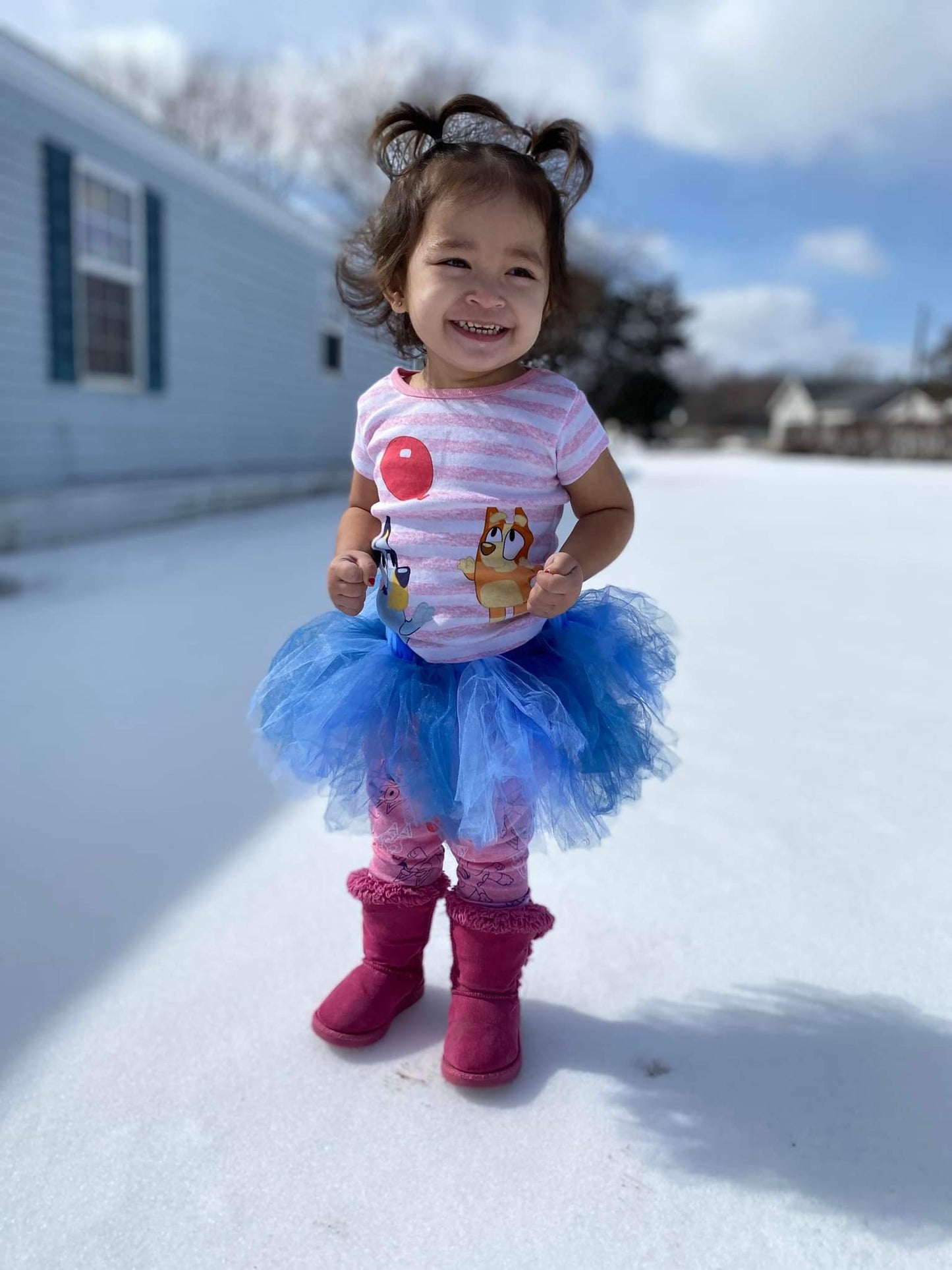 Bluey Tutu