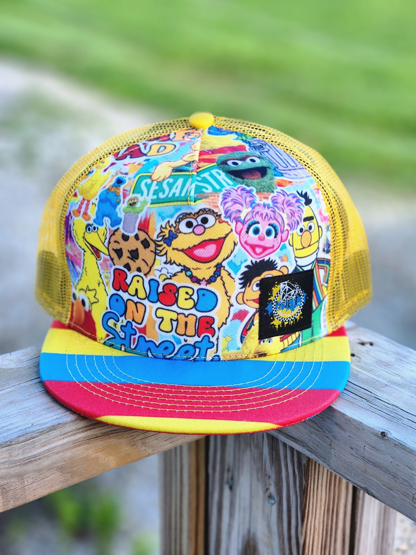 Sesame Street Trucker Snapbacks RTS