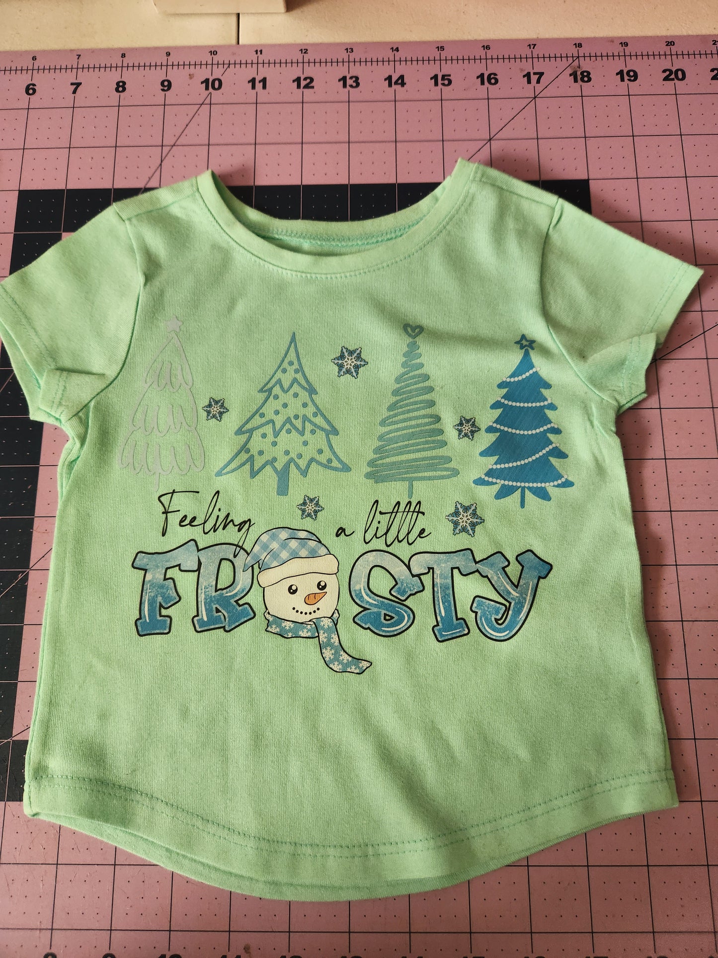 RTS Winter Shirt 2t