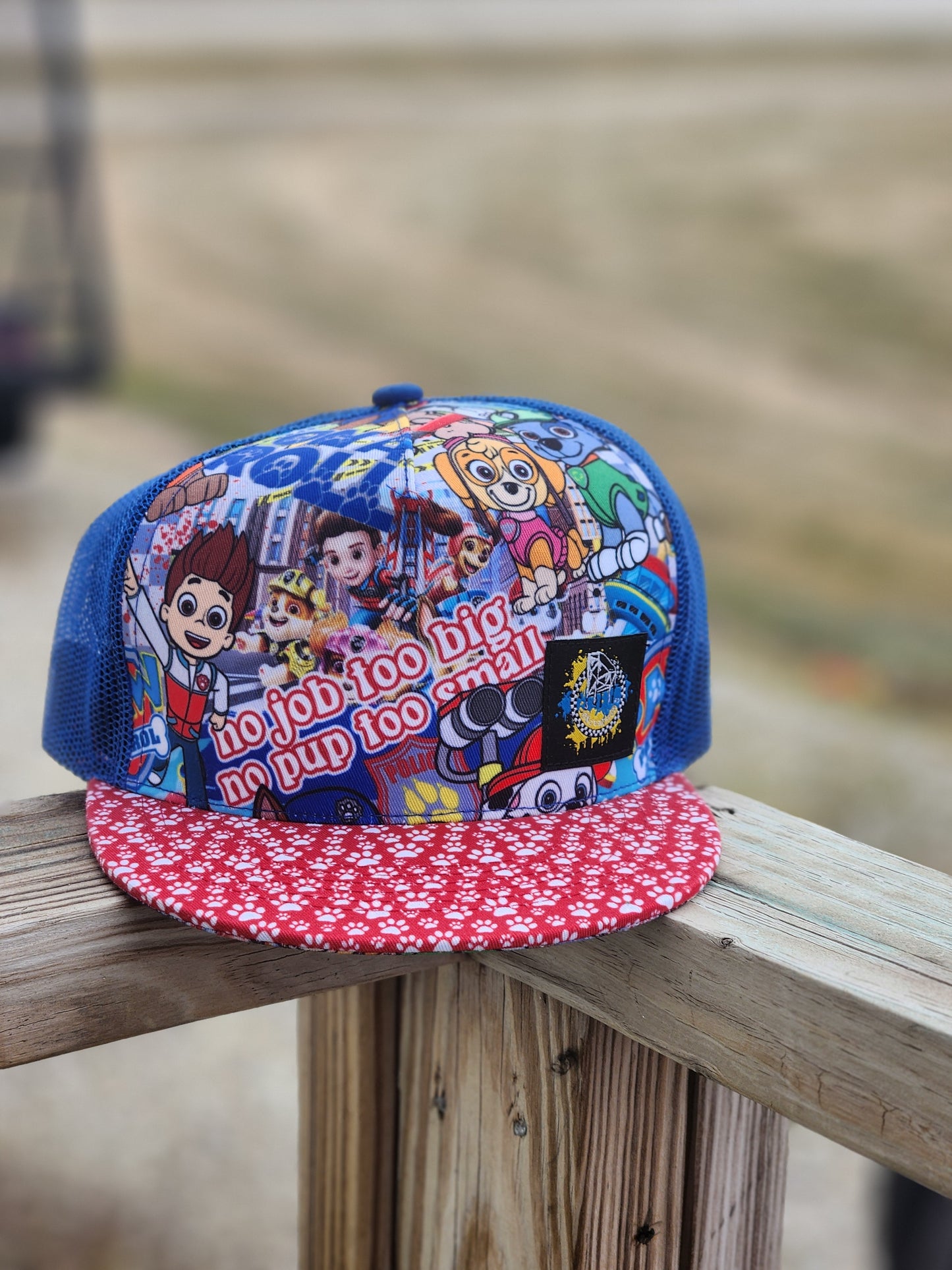 Paw Patrol Trucker Snapback Hat RTS