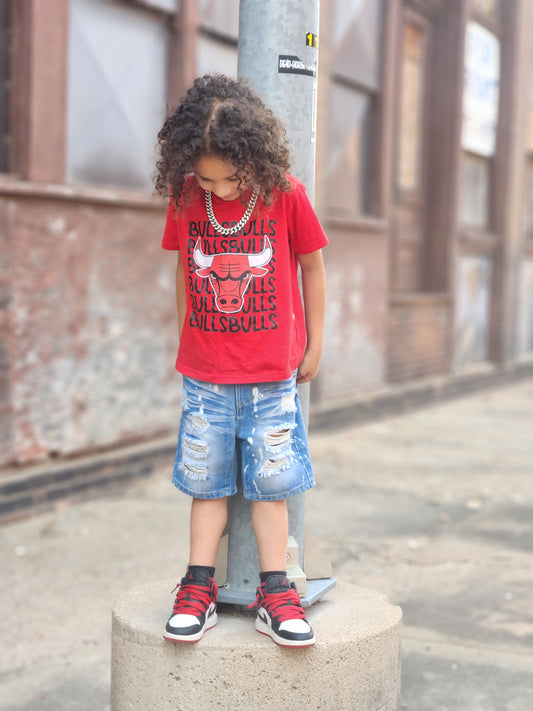 Chicago Bulls Girls Shirt Boys Shirt Ladies Shirt