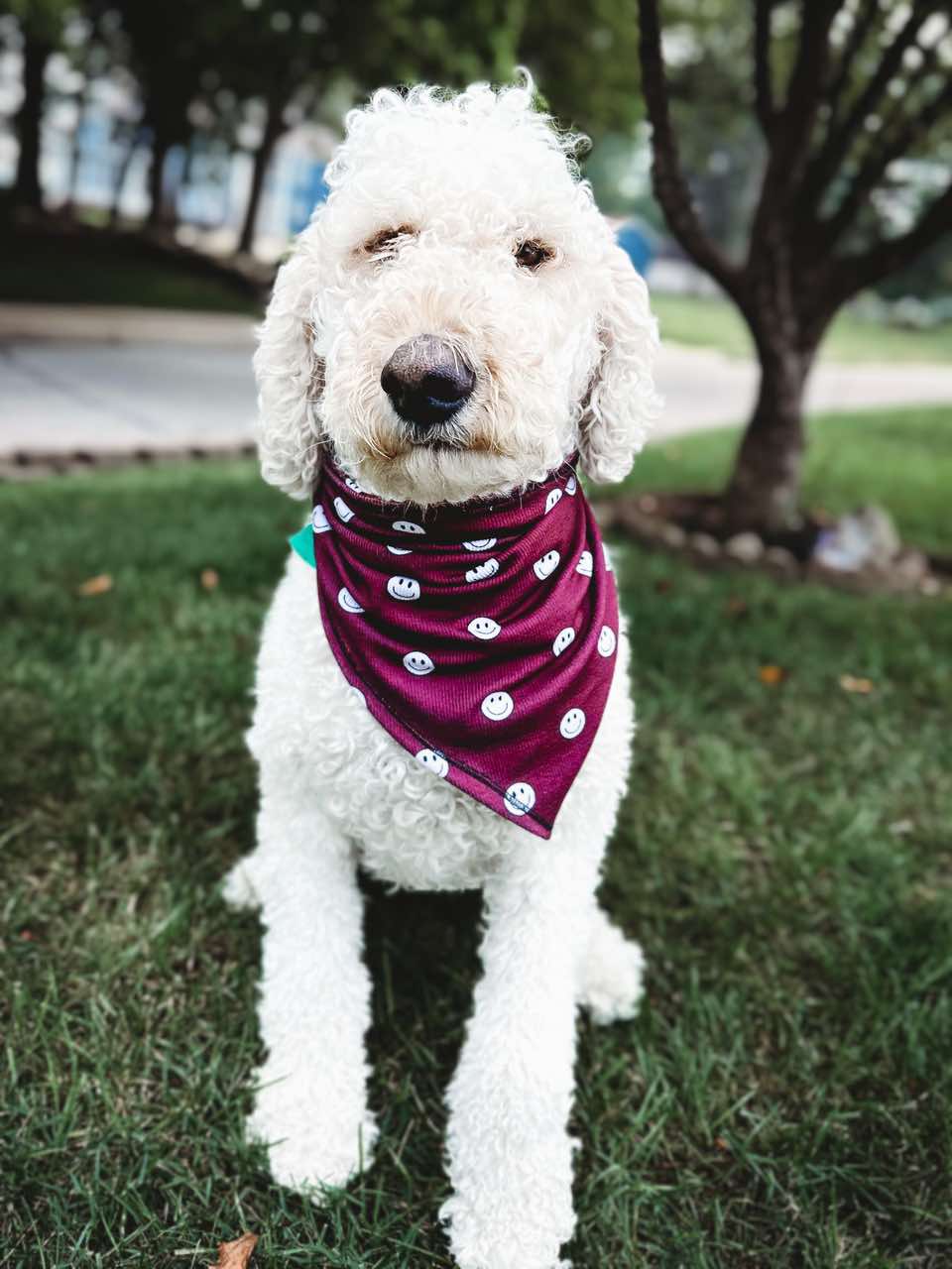 Burgundy Smiley Handmade