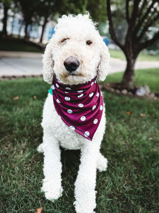 Burgundy Smiley Handmade