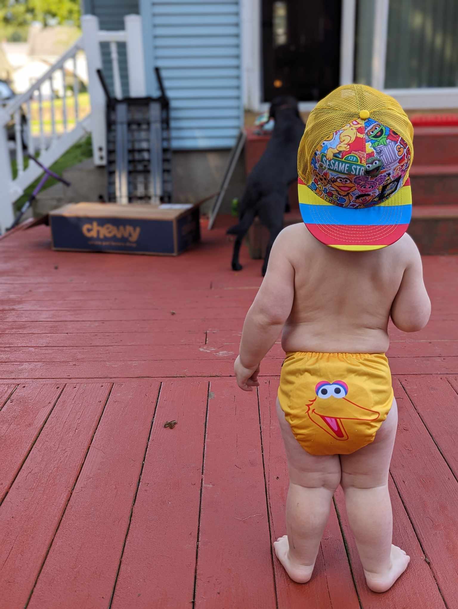 Sesame Street Trucker Snapbacks RTS