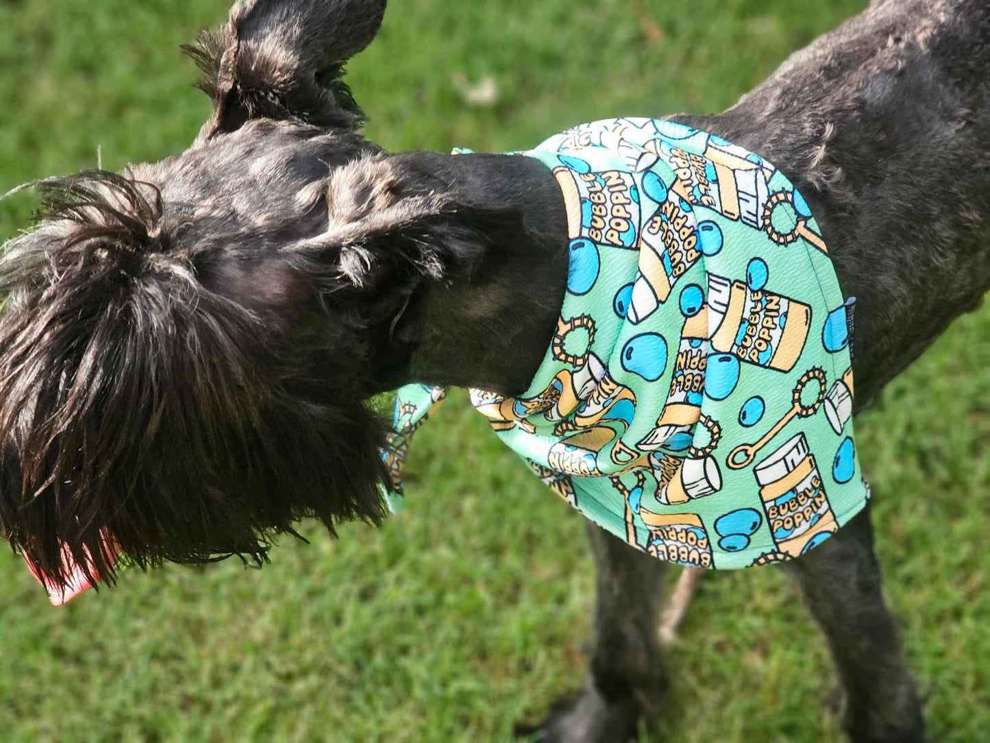 Bubble Poppin Handmade