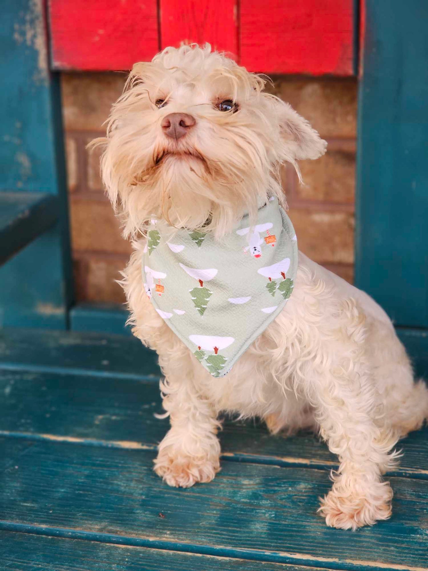 Dog Bandana