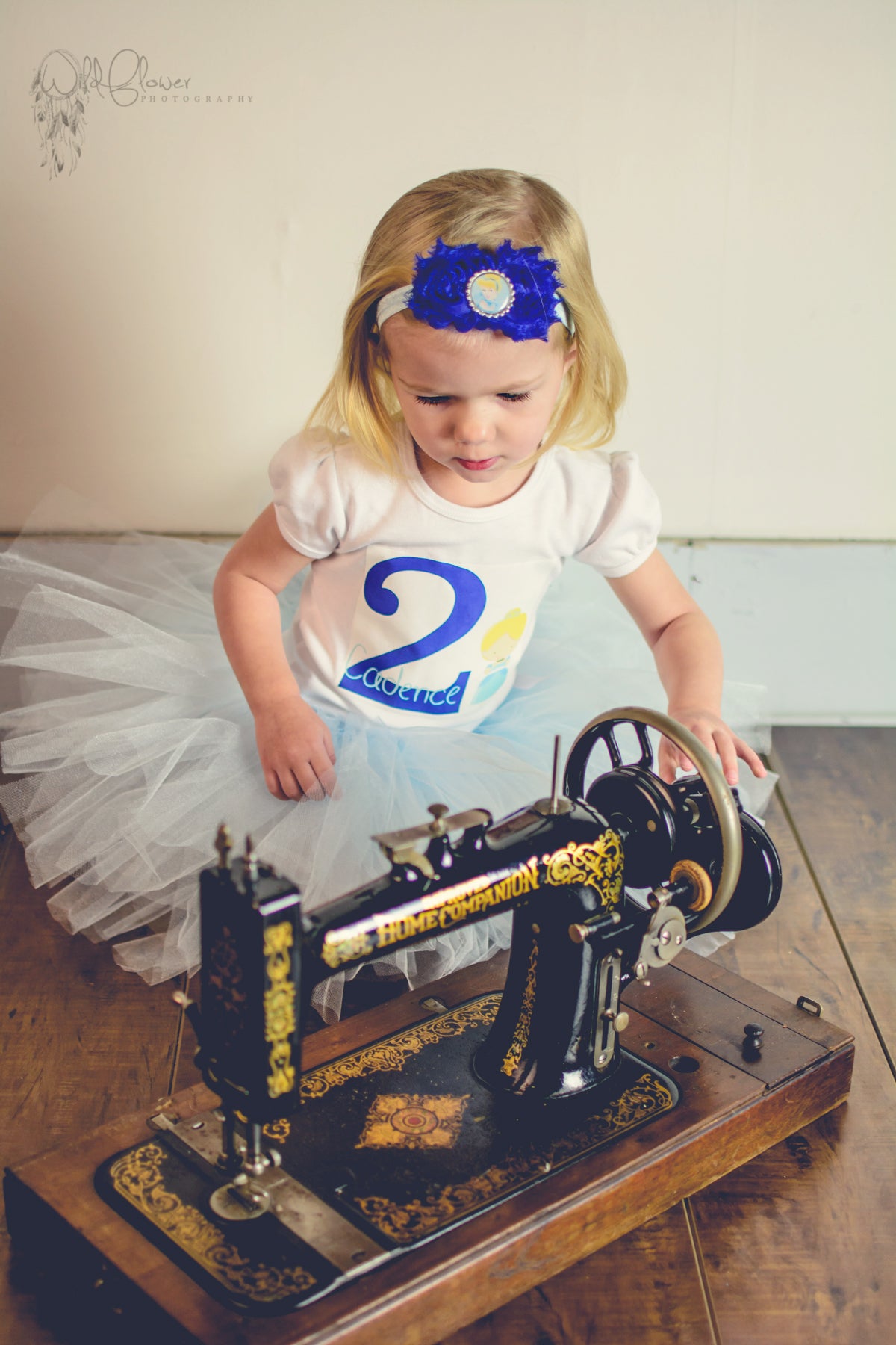 Cinderella Birthday Tutu Outfit Personalized
