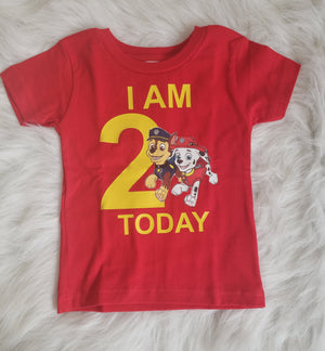 Paw Patrol Birthday Boys Shirt Girls Shirt