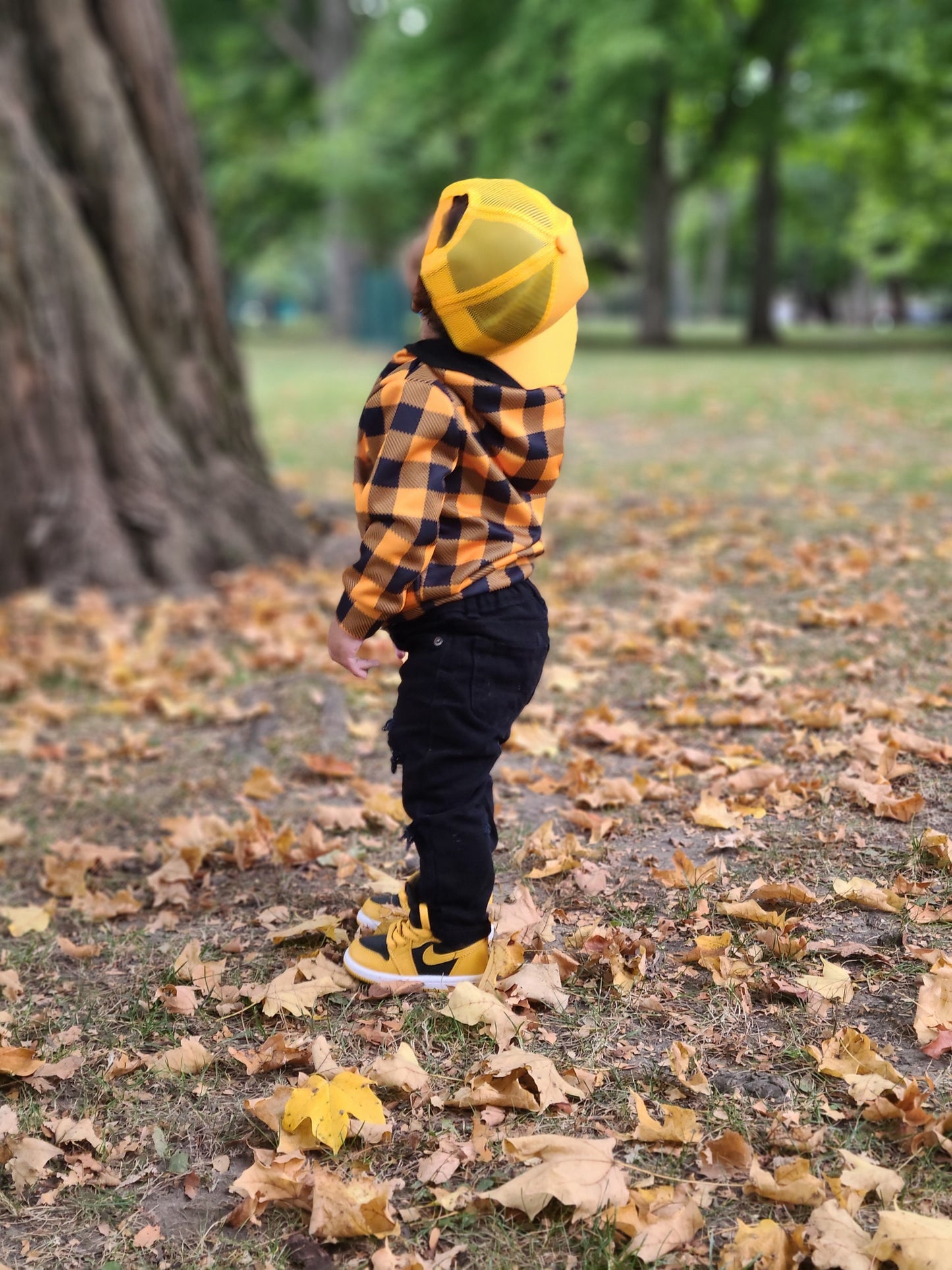 Fall Plaid Hoodies