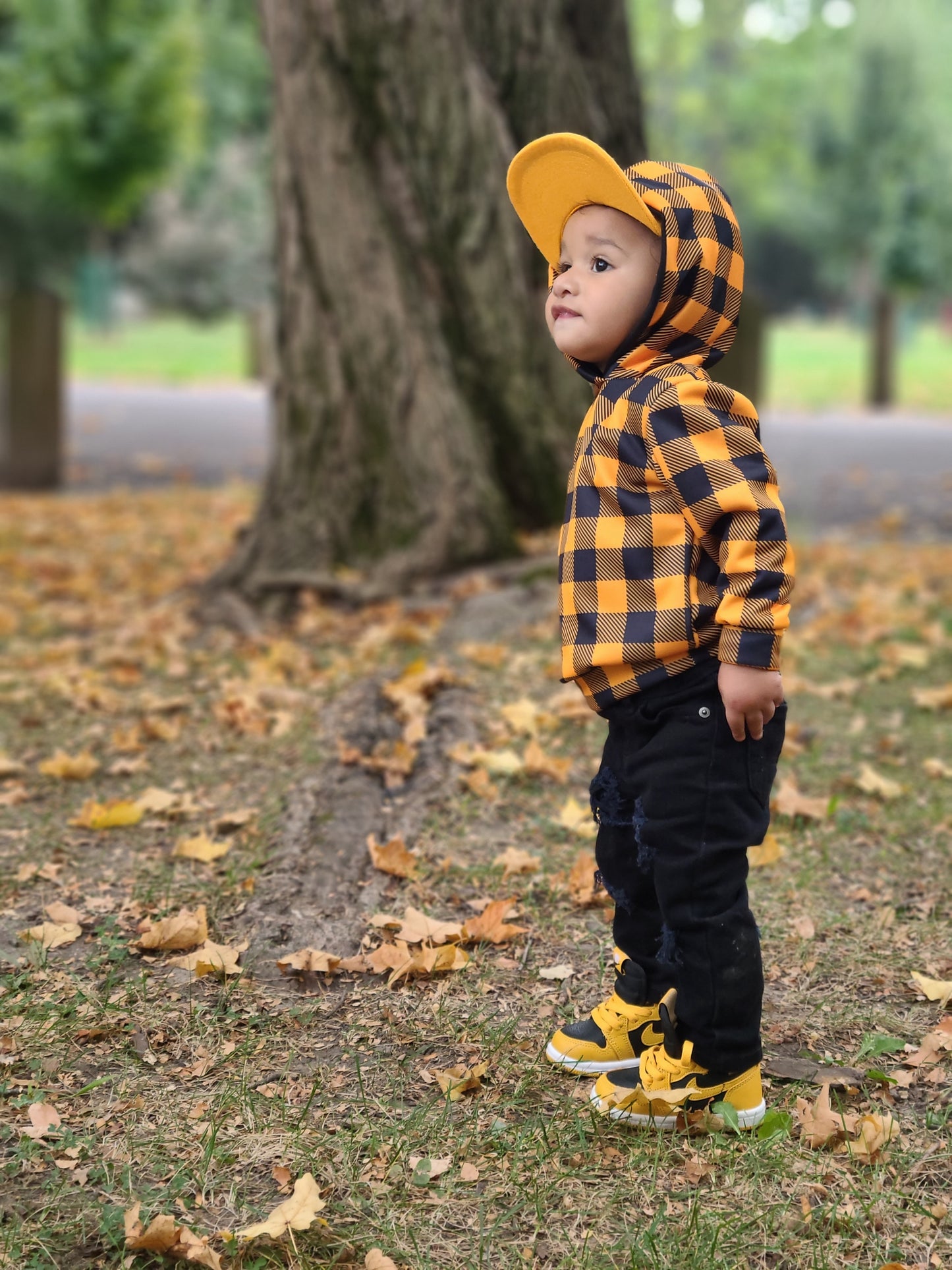 Fall Plaid Hoodies