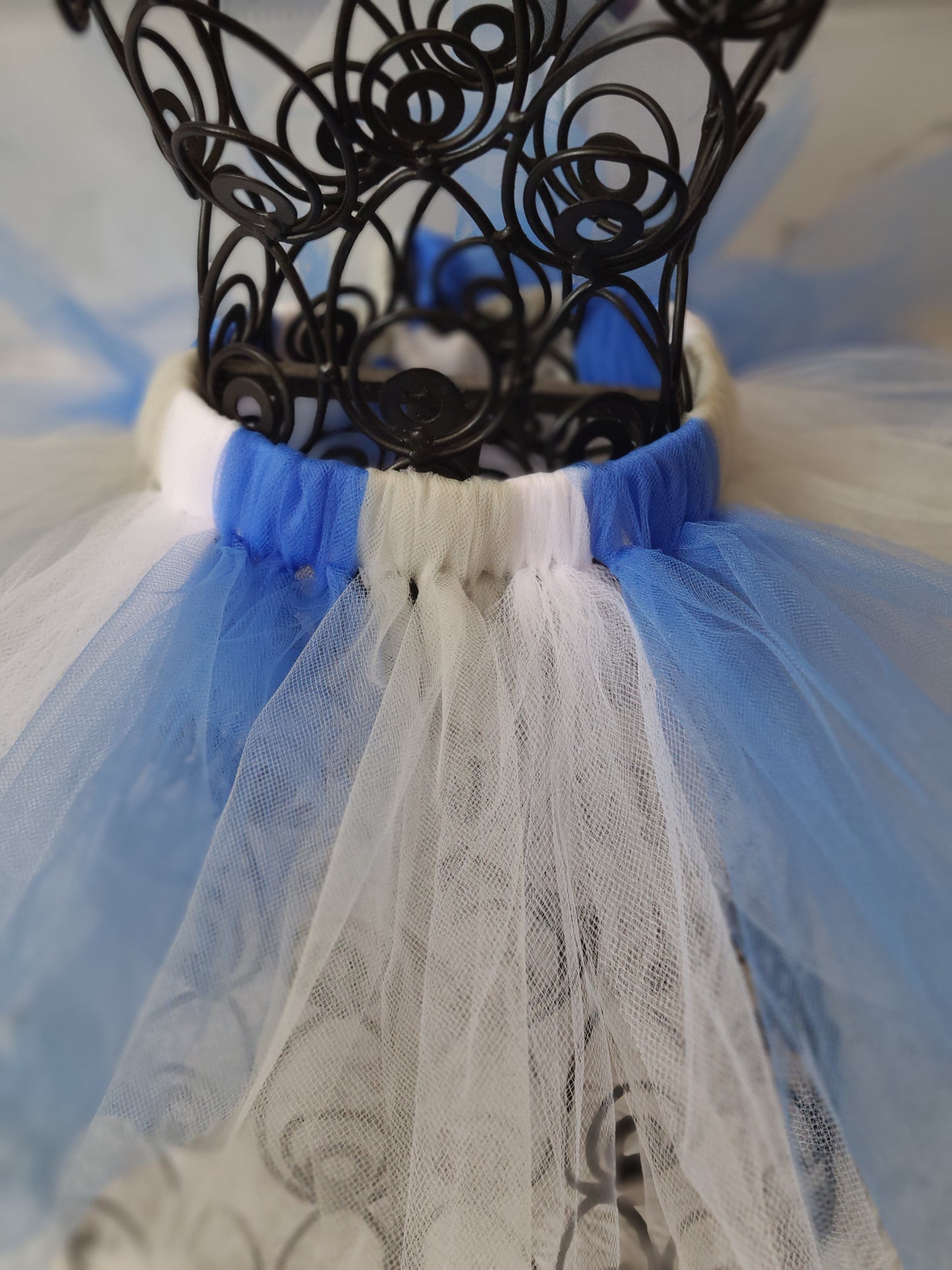 NFL Lions Tutu Football