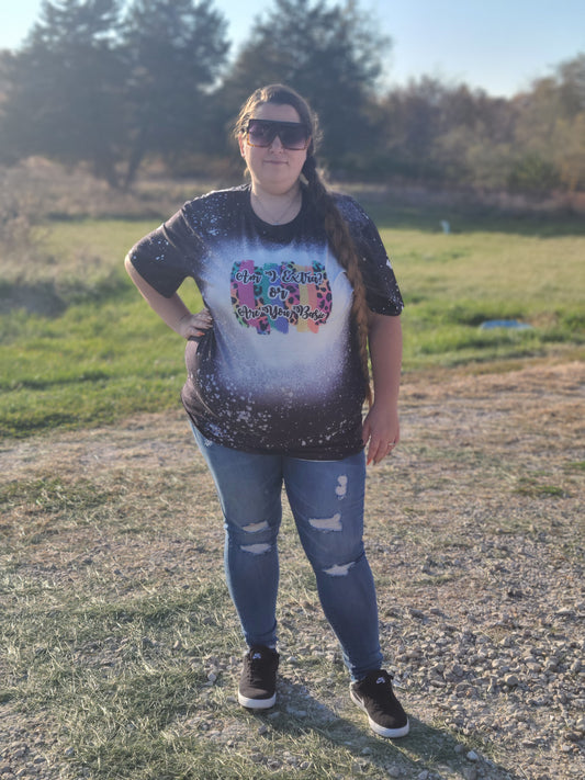 Am I Extra Or Are You Basic Ladies Shirt