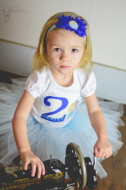 Cinderella Birthday Tutu Outfit Personalized