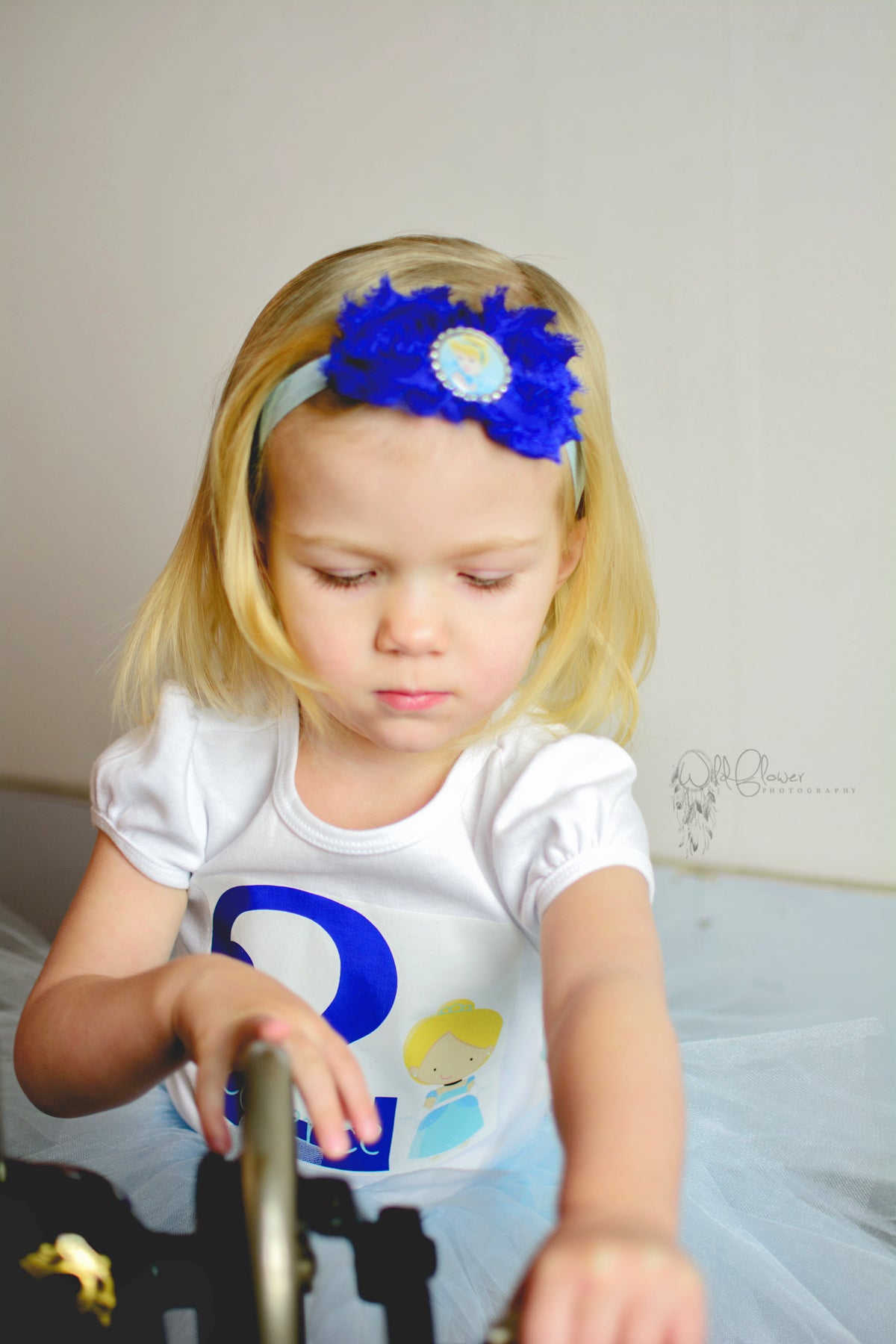 Cinderella Birthday Tutu Outfit Personalized