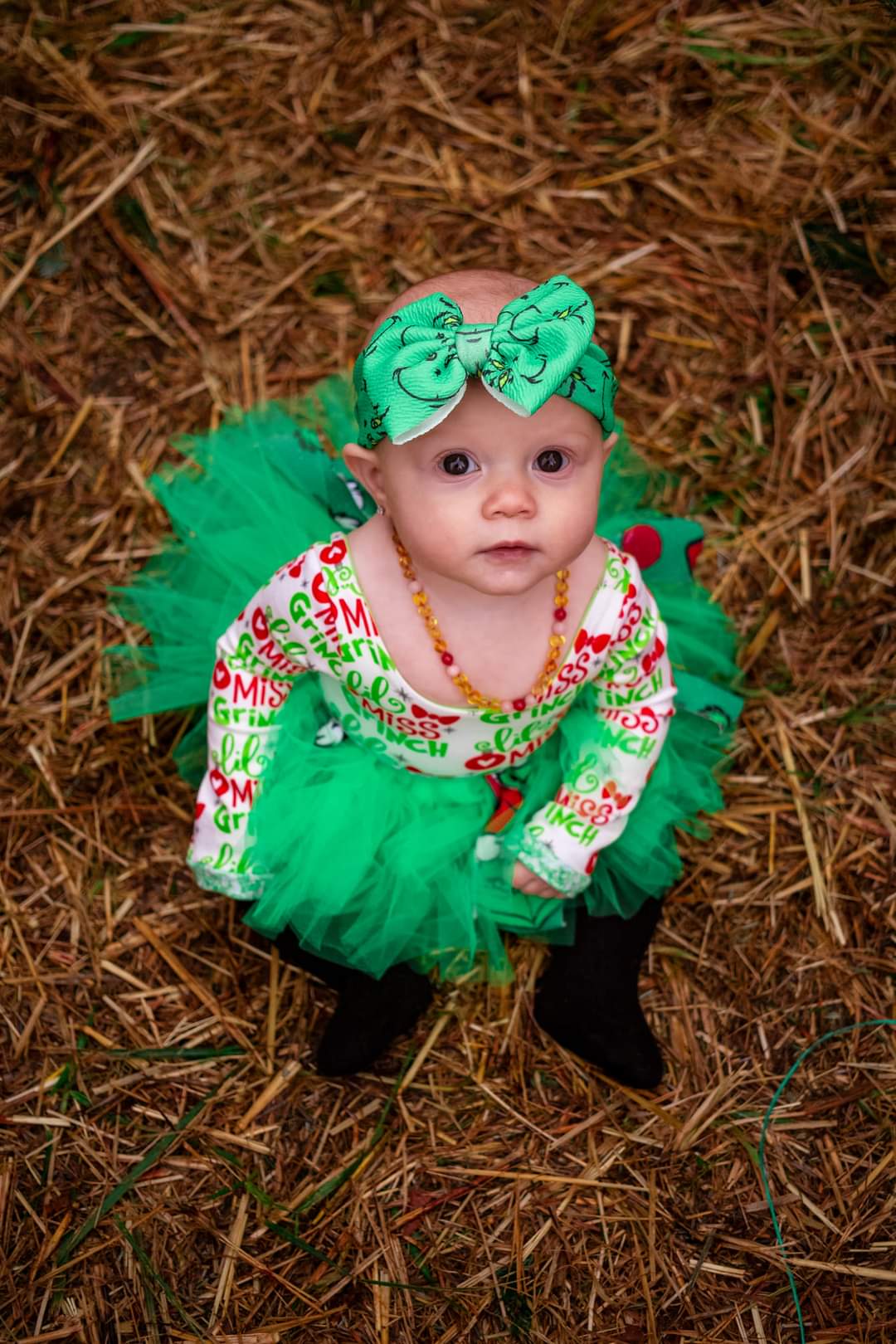 Grinch Tutu Christmas