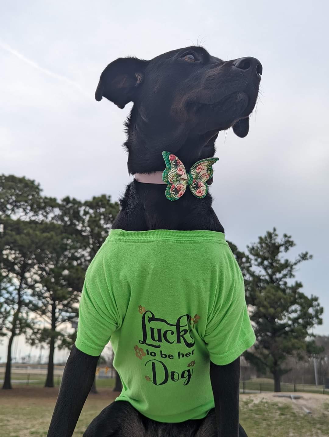 Lucky To Have This Dog & Lucky To Be Her Dog St. Patrick's Boy Shirt Girls Shirt