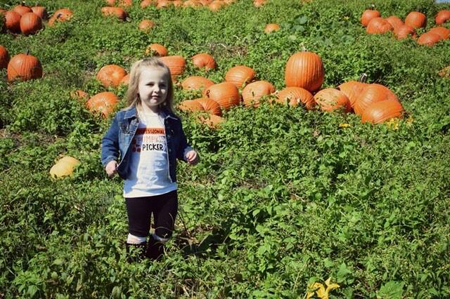 Professional Pumpkin Picker Fall Girls Shirt Boys Shirt