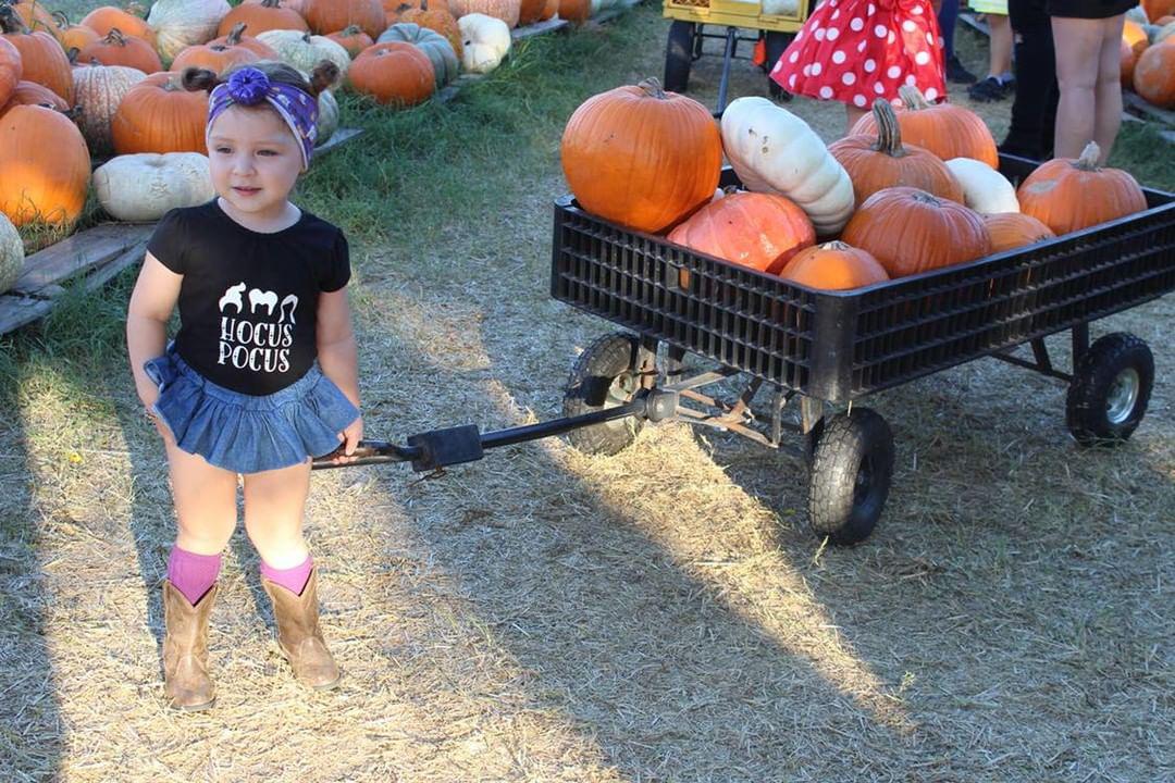Hocus Pocus Halloween Girls Shirt Boys Shirt