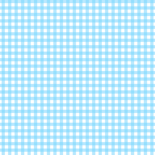 Pastel Blue Plaid Handmade
