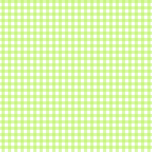 Pastel Green Plaid Handmade