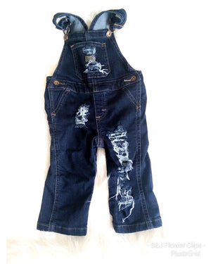 Distressed Overalls