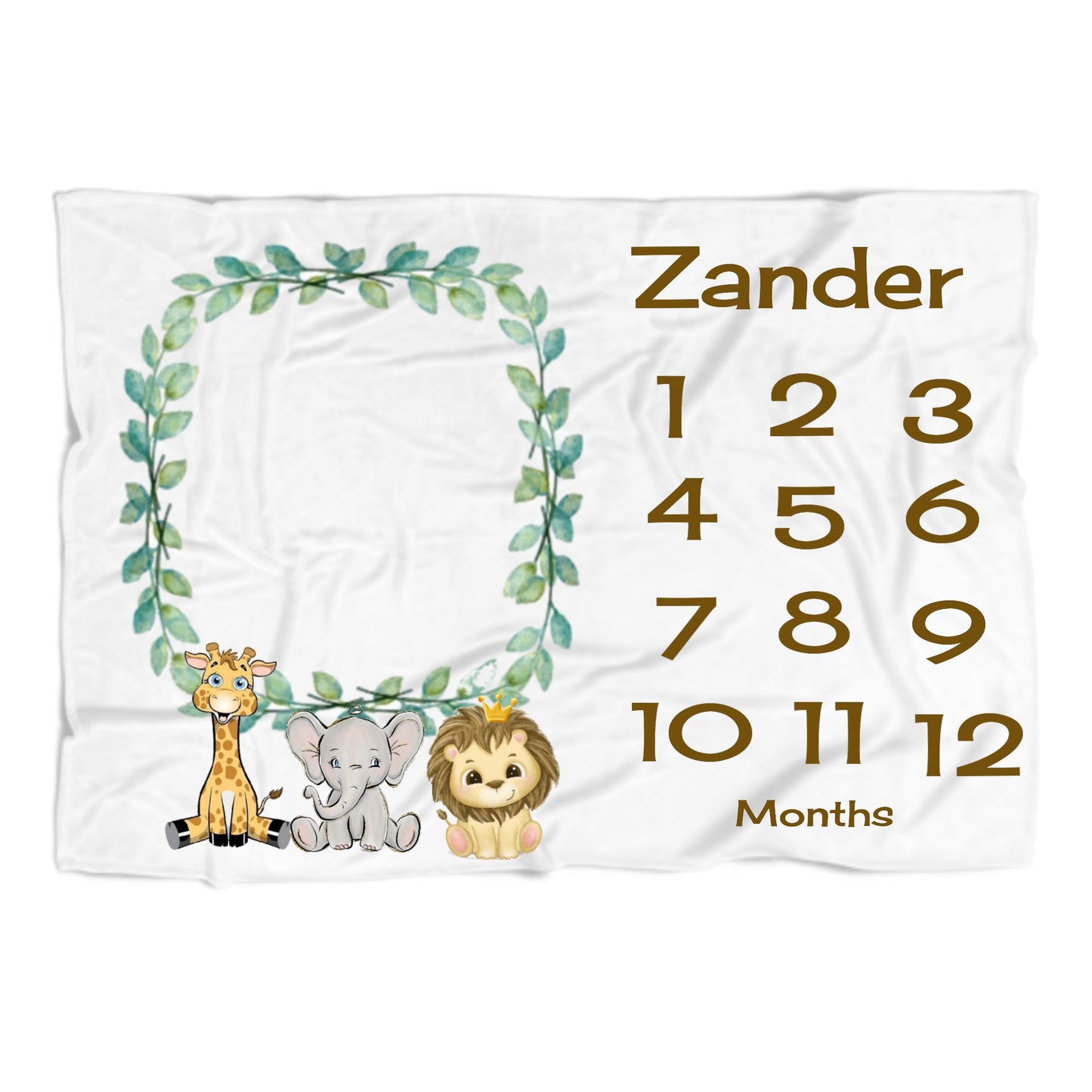 Baby Milestone Blankets