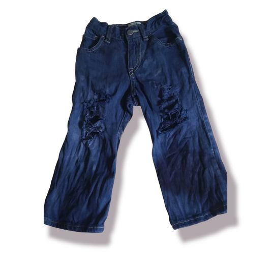 Blue Boys Distressed Jeans