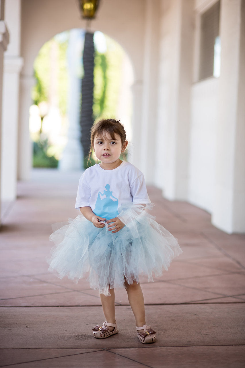 Disney Princess Cinderella Tutu Outfit