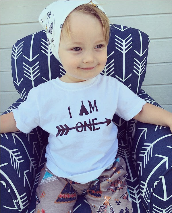 I am one Birthday Shirt Boys Shirt Girls Shirt