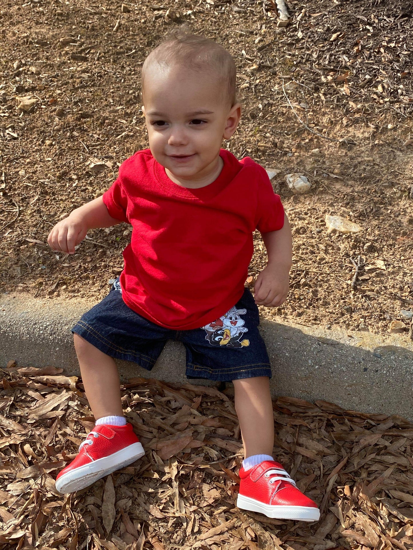 Loony Tunes Boys Distressed Jeans Shorts