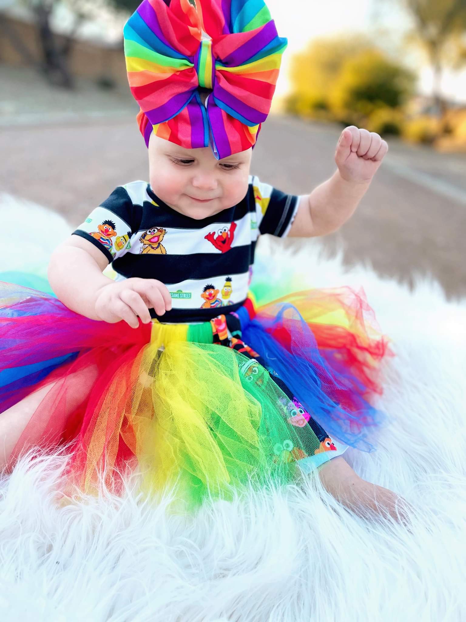 Sesame Street Tutu