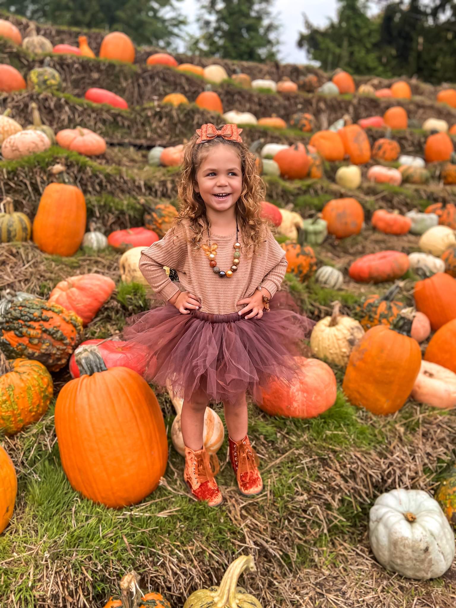 Brown Fall Tutu